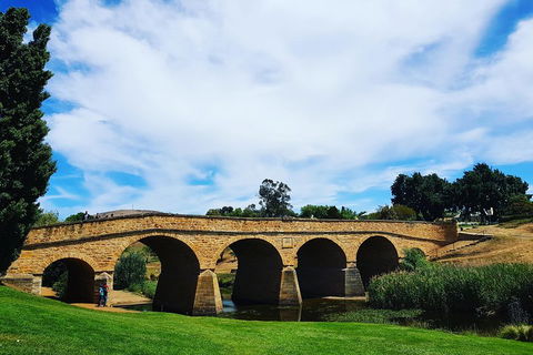 Tasmania 4 Day East Coast + Launceston - Accommodation NSW 4