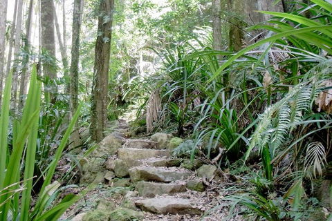 Byron Bay Combo: Minyon Falls And Hinterland Day Trip And Learn To Surf At Byron Bay - Accommodation NSW 3