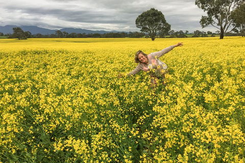 Grampians - Private Tour - Accommodation NSW 3