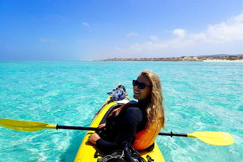Lagoon Explorer - Ningaloo Reef Full-Day Kayaking And Snorkeling Adventure - Accommodation NSW 1