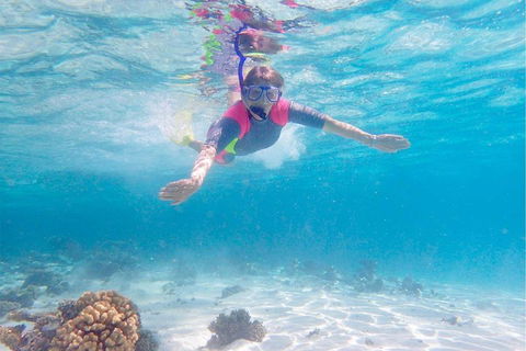 Lagoon Explorer - Ningaloo Reef Full-Day Kayaking And Snorkeling Adventure - Accommodation NSW 5