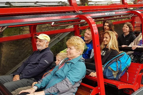 Blue Mountains Ultimate One-Day Tour - Accommodation NSW 0