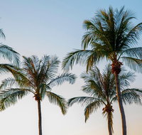 Darwin City Sightseeing Tour - Accommodation NSW