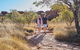 Kings Canyon Guided Rim Walk - thumb 4