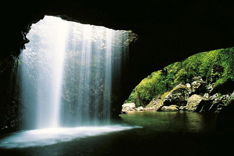 Natural Bridge & Springbrook Waterfalls Tour - Accommodation NSW 0