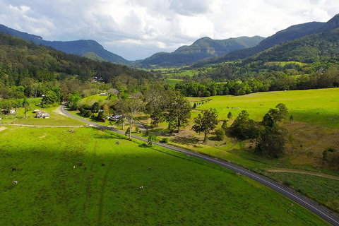 Natural Bridge & Springbrook Waterfalls Tour - Accommodation NSW 2