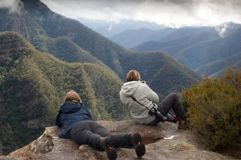 Inside The Greater Blue Mountains World Heritage - A Private Wildlife Safari Overnight - Accommodation NSW 0