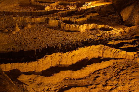 The Explorers' Discovery Tour - Gold, Wine & Wildlife - Accommodation NSW 0