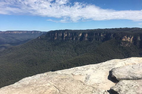 The Explorers' Discovery Tour - Gold, Wine & Wildlife - Accommodation NSW 1