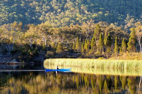 The Explorers' Discovery Tour - Gold, Wine & Wildlife - Accommodation NSW 2