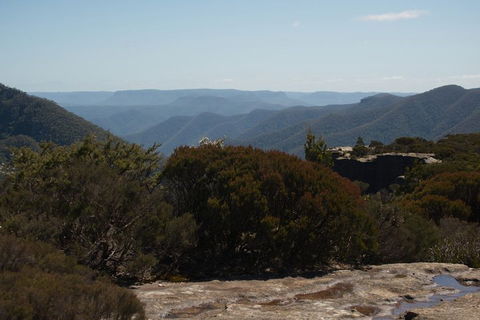 The Explorers' Discovery Tour - Gold, Wine & Wildlife - Accommodation NSW 3