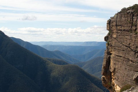 Inside The Greater Blue Mountains World Heritage - A Wildlife Safari Overnight - Accommodation NSW 4