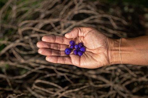 Cape Byron Aboriginal Tour - Accommodation NSW 0