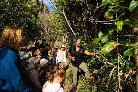 Cape Byron Aboriginal Tour - Accommodation NSW 4