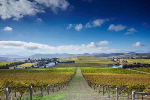 Yarra Valley Wine And Wildlife Self-Driving Tour - Accommodation NSW 1
