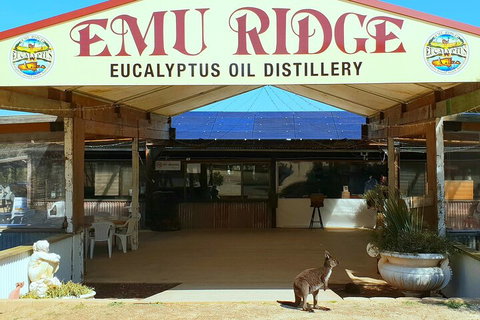 2-Day Kangaroo Island Safari From Adelaide - Accommodation NSW 4