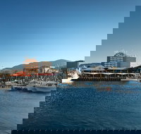 Hobart City Sightseeing Tour including MONA Admission - Accommodation NSW