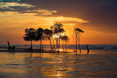Delightful Darwin Self-Guided Audio Tour - Accommodation NSW 3