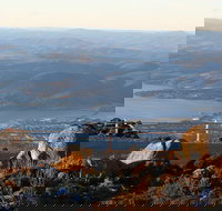 Mt. Wellington Bonorong and Richmond Day Tour from Hobart - Accommodation NSW