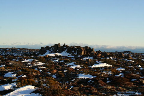 Mt. Wellington, Bonorong And Richmond Day Tour From Hobart - Accommodation NSW 5