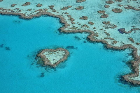 Reef And Island Scenic Flight From Airlie Beach - Accommodation NSW 5