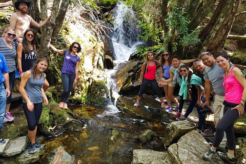 7-Day Super Value Tour Of Tasmania: Explore Tasmania's West And East Coasts - Accommodation NSW 2
