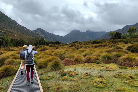 3 Day Tasmanian Wild West Coast Tour From Hobart To Launceston - Accommodation NSW 3