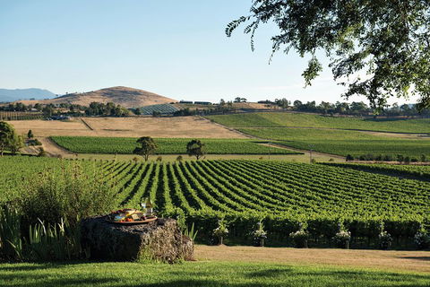Yarra Valley Premium Tour Inc Lunch And Cheese, Chocolate Fondue At Rochford - Accommodation NSW 1