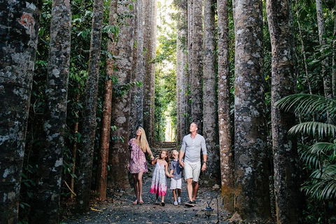 The Original Day Tour To Paronella Park, Lake Barrine And Millaa Millaa Falls - Accommodation NSW 1
