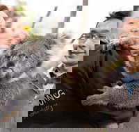 Bonorong Wildlife Park and Richmond Afternoon Tour from Hobart - Accommodation NSW