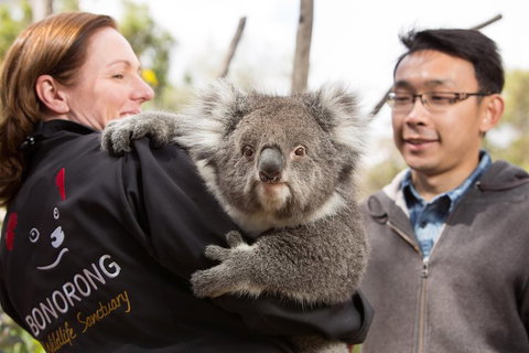 Bonorong Wildlife Park And Richmond Afternoon Tour From Hobart - Accommodation NSW 0