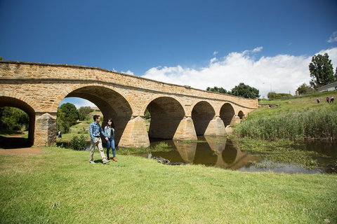 Bonorong Wildlife Park And Richmond Afternoon Tour From Hobart - Accommodation NSW 2