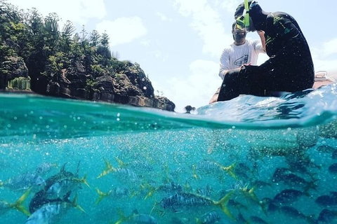 2 Night Small Group Whitsundays Sailing Adventure Aboard Mandrake - Accommodation NSW 5