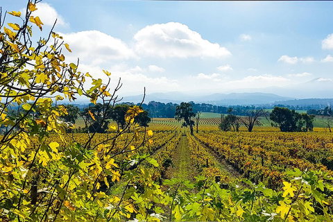 Yarra Valley Wine & Food Tour Departing From Melbourne - Accommodation NSW 4