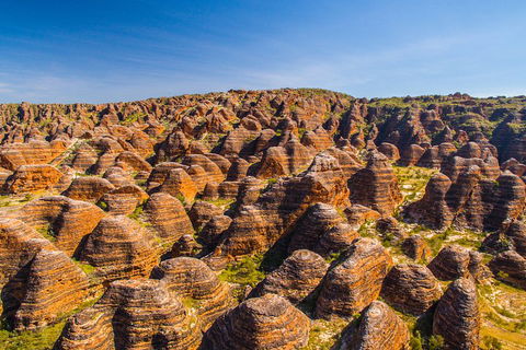 Bungle Bungle Explorer - Accommodation NSW 1