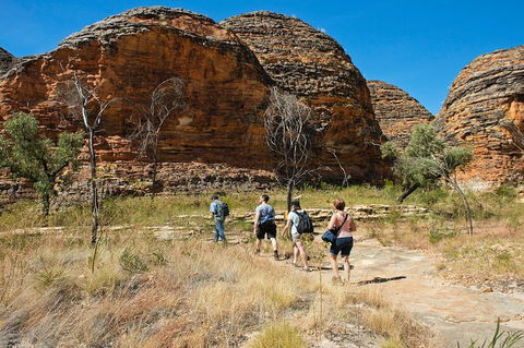 Bungle Bungle Explorer - Accommodation NSW 2