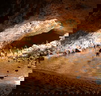 Windjana Explorer - Accommodation NSW