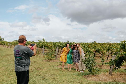 Central Pokolbin, Hunter Valley Hop-On And Hop-Off Bus - Accommodation NSW 1