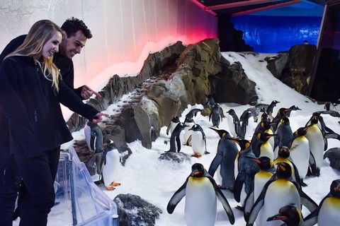 Penguin Passport At SEA LIFE Melbourne Aquarium - Accommodation NSW 0