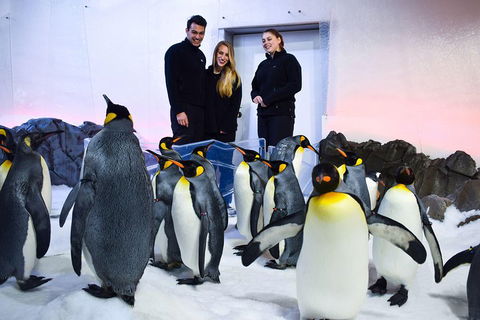 Penguin Passport At SEA LIFE Melbourne Aquarium - Accommodation NSW 4