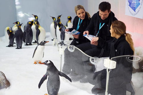 Penguin Passport At SEA LIFE Melbourne Aquarium - Accommodation NSW 5