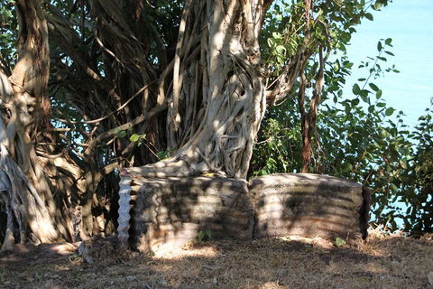 Darwin Walking Tour: World War II Reflections - Accommodation NSW 3