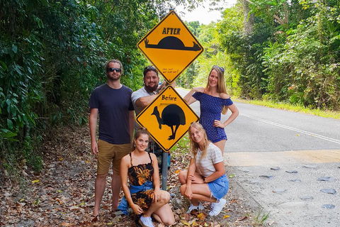 Cape Tribulation, Daintree Rainforest And Wildlife Tour - Accommodation NSW 0