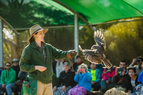 One Day Kangaroo Island Sip & See Tour With Return Ferry Transfers From Adelaide - Accommodation NSW 3