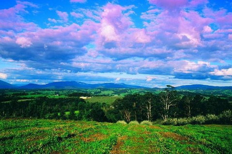 CHEVY CONVERTIBLE Package For 4 -Wine Lunch Cheese & Chocolate From Yarra Valley - Accommodation NSW 4