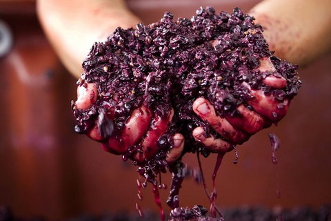 CHEVY CONVERTIBLE Package For 4 -Wine Lunch Cheese & Chocolate From Yarra Valley - Accommodation NSW 5