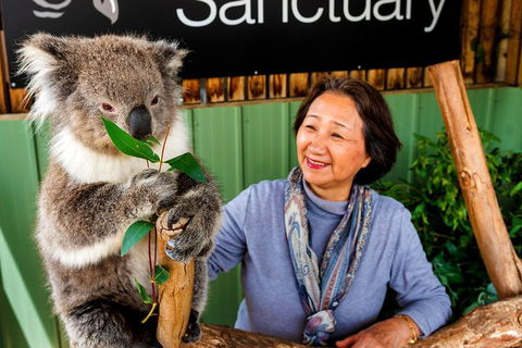 Moonlit Sanctuary Wildlife Conservation Park Daytime General Entry Ticket - Accommodation NSW 0