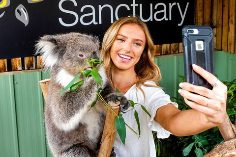 Moonlit Sanctuary Wildlife Conservation Park Daytime General Entry Ticket - Accommodation NSW 4