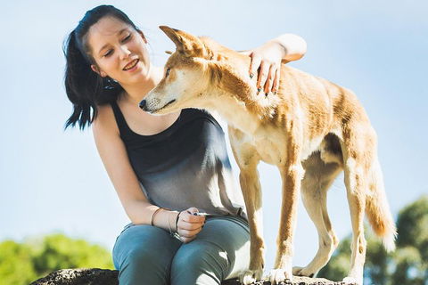 Moonlit Sanctuary Wildlife Conservation Park Daytime General Entry Ticket - Accommodation NSW 5