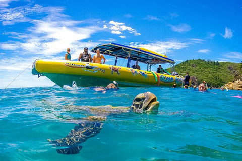 Great Barrier Reef Scenic Flight And Ocean Rafting Whitehaven Beach Day Trip - Accommodation NSW 1